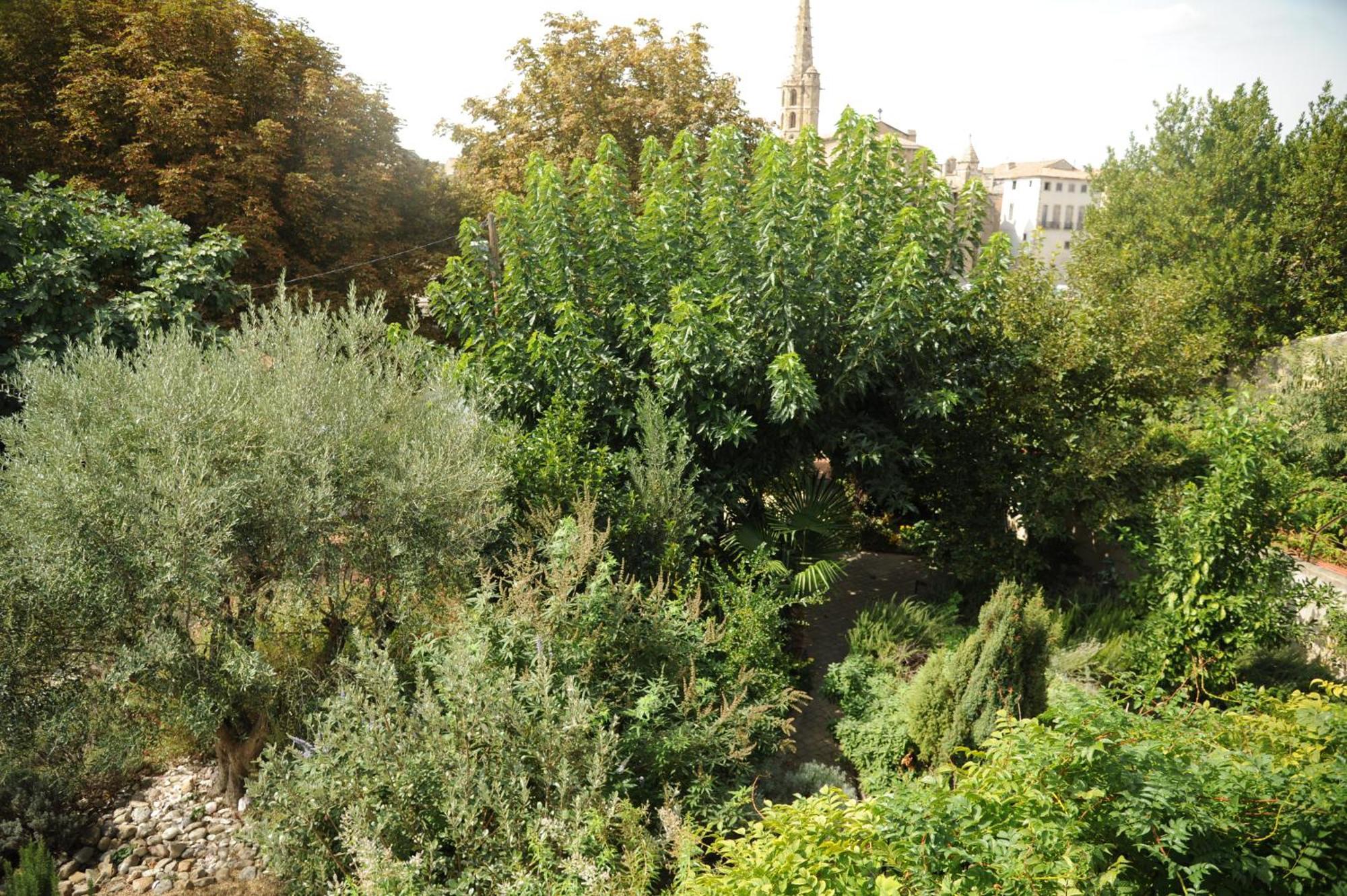 Limoux Riverside Gardens Villa Dış mekan fotoğraf